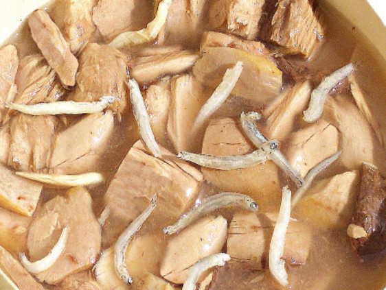 Health IN 機能貓湯罐